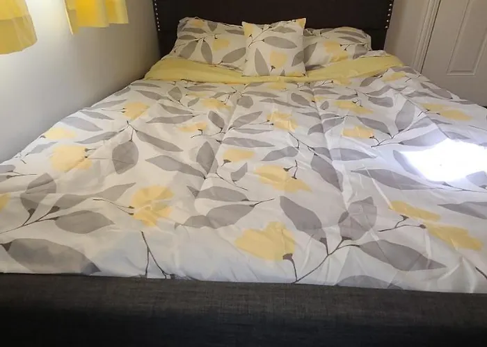 Apartment Cozy 1 Bedroom, 1 Min From Irving Park Blue Line, Free Parking