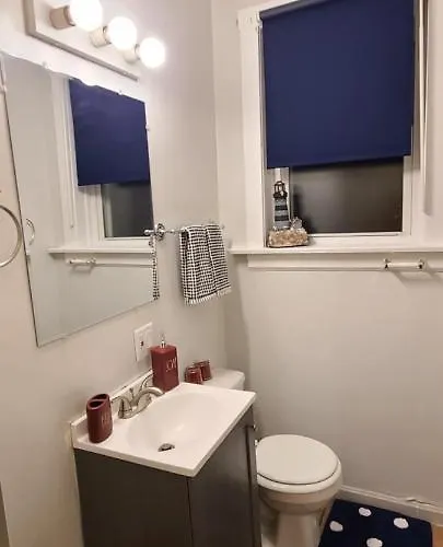 Cozy 1 Bedroom, 1 Min From Irving Park Blue Line, Free Parking Apartment